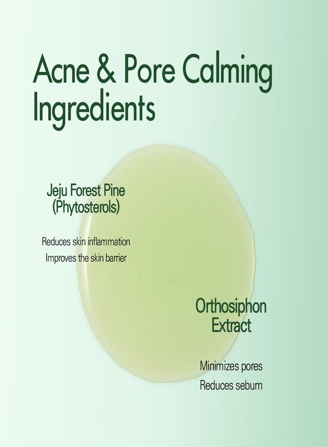 ABEREDE Cicapine Forest Needle Energy Calming & Poreless Serum 1.69 fl oz / 50ml, Cica + Pine Extract Soothing Serum, Hydrating Pore-Tightening, Lightweight Vegan K-Beauty, Vegan K-Beauty Skincare - Image 5